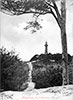 Müggelturm in den Müggelbergen, Jahr: ca. 1905
