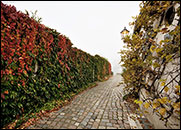 Köpenick - Breite Gasse bei Nebel