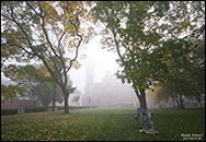 Rathaus Köpenick und viel Nebel