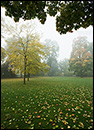 Schloßpark Köpenick bei Nebel