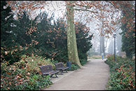 Herbst im Schloßpark Köpenick