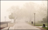 Luisenhain im Nebel