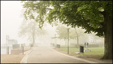 Luisenhain im Nebel