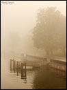 Luisenhain im Nebel