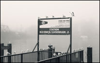 Luisenhain - Anlegesteg mit Möwen im Nebel