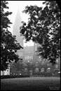 Rathaus Köpenick im Nebel s/w
