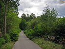 Waldweg zum Wasserwerk Köpenick